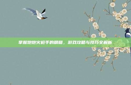 掌握炮炮火枪手的精髓,游戏攻略与技巧全解析