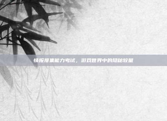 情报搜集能力考试,游戏世界中的隐秘较量