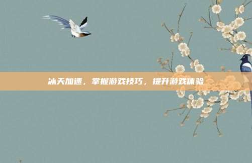 冰天加速,掌握游戏技巧,提升游戏体验