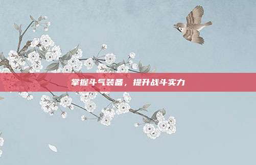 掌握斗气装备,提升战斗实力