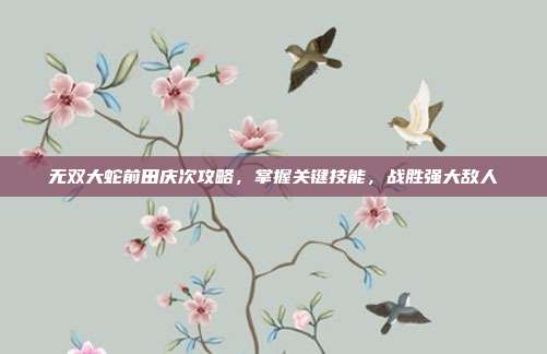 无双大蛇前田庆次攻略，掌握关键技能，战胜强大敌人