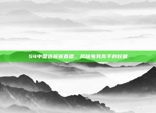 S4中国选拔赛直播,揭秘电竞高手的较量