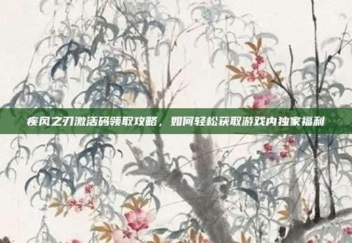 疾风之刃激活码领取攻略,如何轻松获取游戏内独家福利