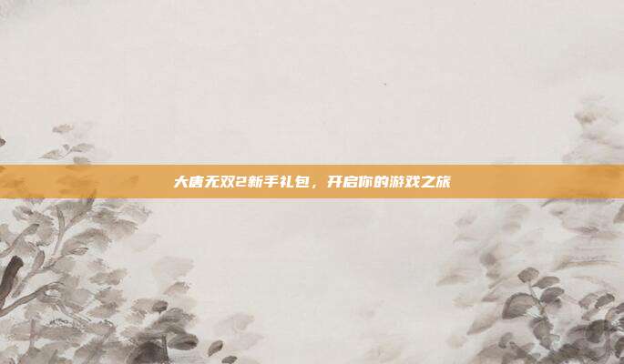 大唐无双2新手礼包，开启你的游戏之旅
