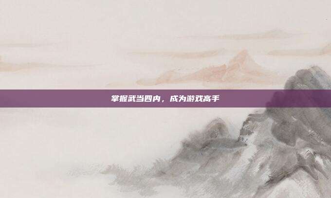 掌握武当四内，成为游戏高手