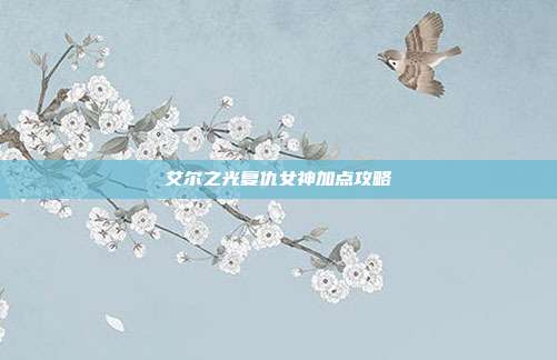 艾尔之光复仇女神加点攻略