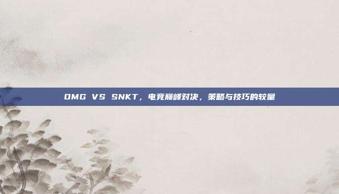 OMG VS SNKT,电竞巅峰对决,策略与技巧的较量