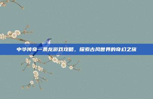 中华传奇一条龙游戏攻略,探索古风世界的奇幻之旅