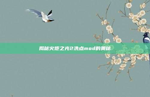 揭秘火炬之光2洗点mod的奥秘
