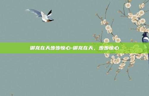 御龙在天步步惊心-御龙在天，步步惊心