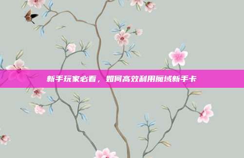 新手玩家必看,如何高效利用魔域新手卡