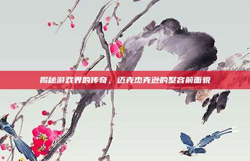 揭秘游戏界的传奇,迈克杰克逊的整容前面貌