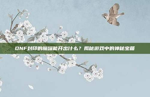 DNF封印的魔罐能开出什么?揭秘游戏中的神秘宝箱