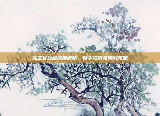 龙之谷台服深度解析，新手指南与游戏攻略