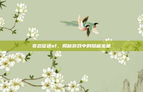 变态征途sf,揭秘游戏中的隐藏宝藏