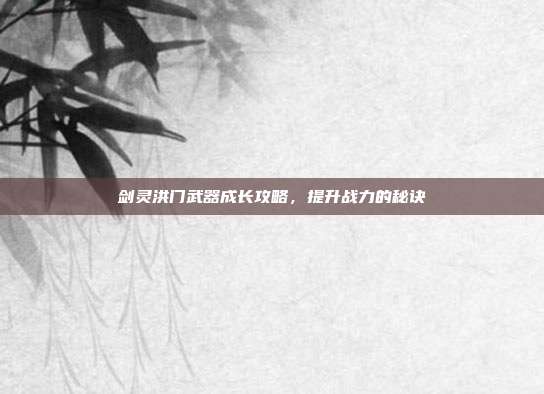 剑灵洪门武器成长攻略,提升战力的秘诀