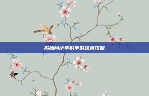 揭秘阿萨辛铜甲的终极攻略