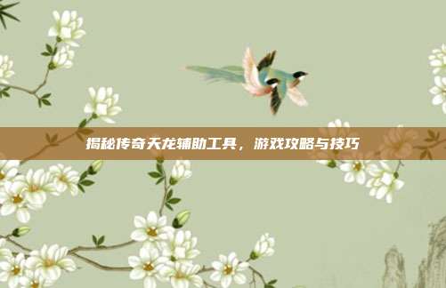 揭秘传奇天龙辅助工具,游戏攻略与技巧
