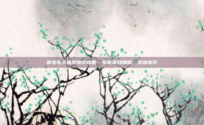 御龙在天步步惊心攻略，掌握游戏精髓，步步高升
