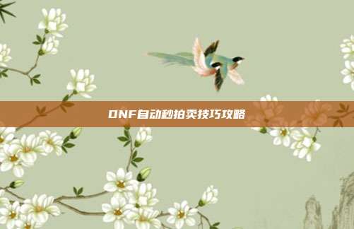 DNF自动秒拍卖技巧攻略