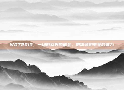 WGT2013,一场游戏界的盛会,带你领略电竞的魅力