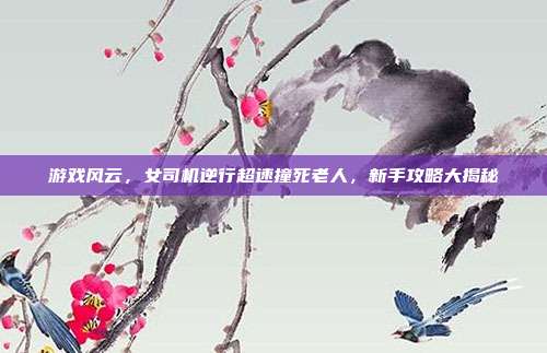 游戏风云,女司机逆行超速撞死老人,新手攻略大揭秘