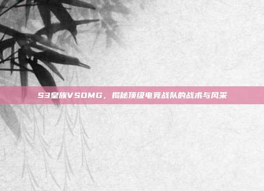 S3皇族VSOMG,揭秘顶级电竞战队的战术与风采