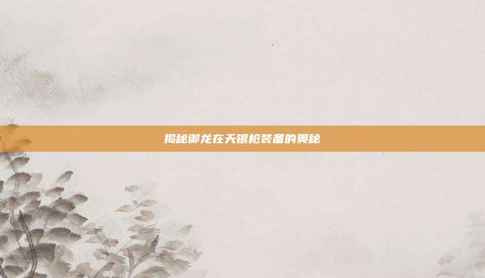 揭秘御龙在天银枪装备的奥秘