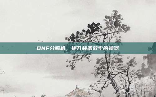 DNF分解机,提升装备效率的神器