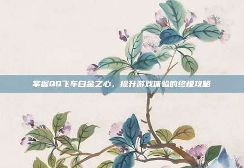 掌握QQ飞车白金之心，提升游戏体验的终极攻略