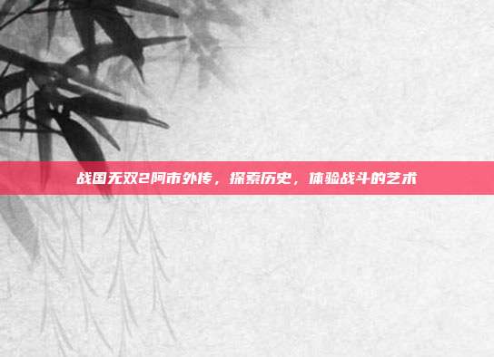 战国无双2阿市外传,探索历史,体验战斗的艺术