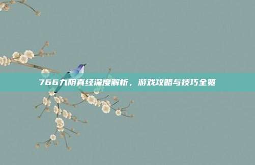 766九阴真经深度解析,游戏攻略与技巧全览