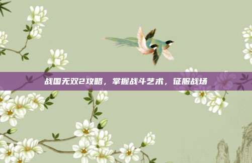 战国无双2攻略,掌握战斗艺术,征服战场