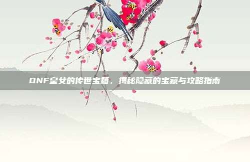 DNF皇女的传世宝箱,揭秘隐藏的宝藏与攻略指南
