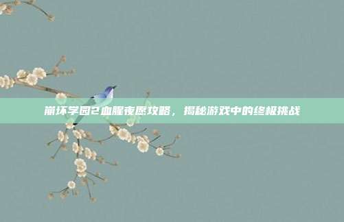 崩坏学园2血腥夜愿攻略,揭秘游戏中的终极挑战