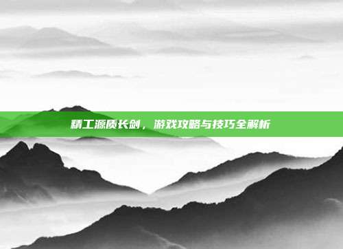 精工源质长剑,游戏攻略与技巧全解析