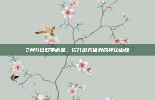 2月11日数字解密,揭开游戏世界的神秘面纱