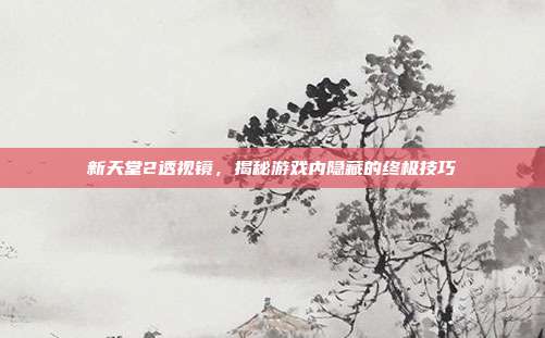 新天堂2透视镜，揭秘游戏内隐藏的终极技巧