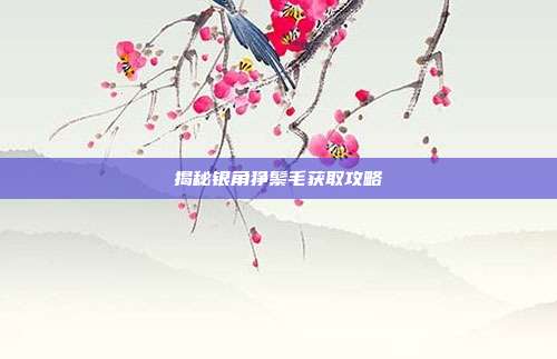 揭秘银角狰鬃毛获取攻略