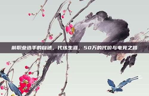 前职业选手的自述,代练生涯,50万的代价与电竞之路