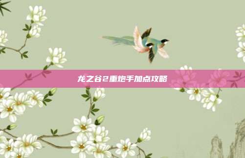 龙之谷2重炮手加点攻略