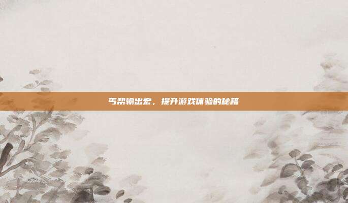 丐帮输出宏,提升游戏体验的秘籍