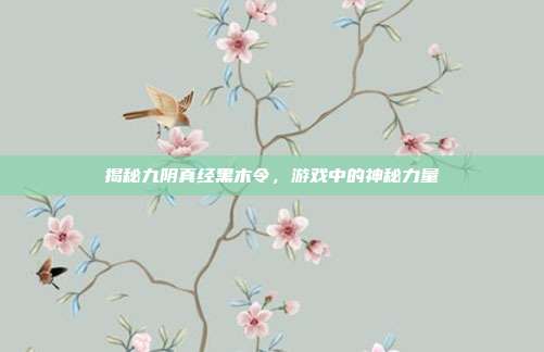 揭秘九阴真经黑木令,游戏中的神秘力量