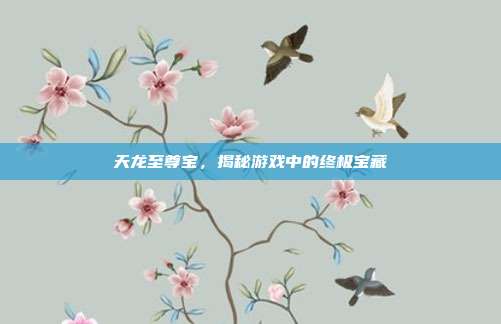 天龙至尊宝,揭秘游戏中的终极宝藏