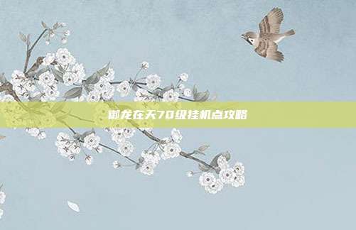 御龙在天70级挂机点攻略