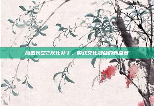 鹰击长空2汉化补丁,游戏文化融合的新篇章