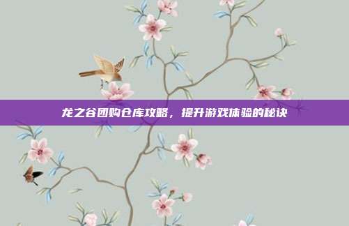 龙之谷团购仓库攻略,提升游戏体验的秘诀