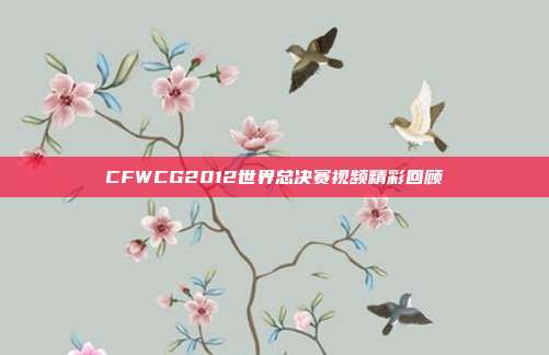 CFWCG2012世界总决赛视频精彩回顾