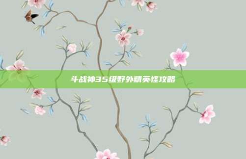 斗战神35级野外精英怪攻略