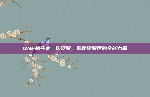 DNF格斗家二次觉醒，揭秘觉醒后的全新力量